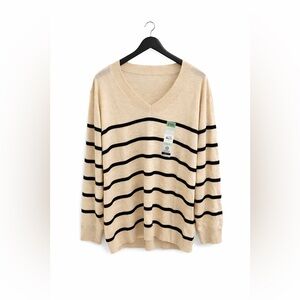 Terra & Sky Beige V-Neck Sweater